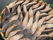 �䤿�� �ڤ���Ȥ� 1.6kg