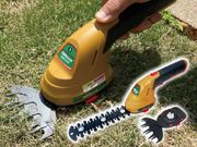 ���ż��ϥ�ǥ��Хꥫ��&�ȥ�ޡ� ����޴�����Ϻ