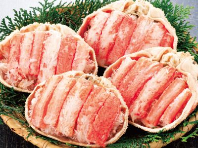 北海道産 ボイル 大ずわいがに甲羅盛り4個 | カニ | 優生活