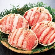�̳�ƻ�� �ܥ��� �示�襤���˹�������4��