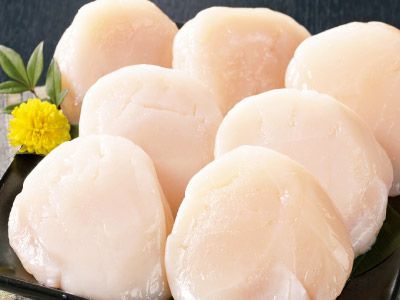 �翶�� �̳�ƻ�� ��Ω����������ѡ�500g���å�