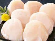 �翶�� �̳�ƻ�� ��Ω����������ѡ�500g���å�