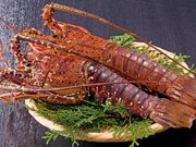 �櫓���� �褱���񻺰�����Ϸ2�����å�