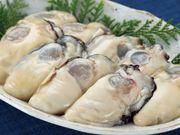 ���縩�� �翶��������भ����1.7kg���å�