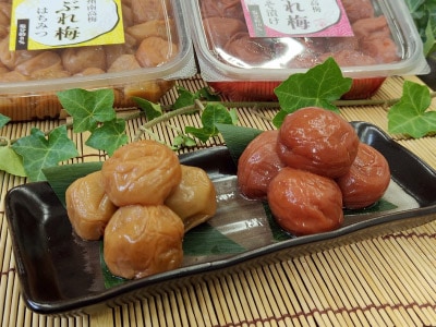 南高梅つぶれ梅1.6kg | 梅干・漬物類 | 優生活