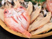 �Τɤ�����������ᤫ��������������٥��å�