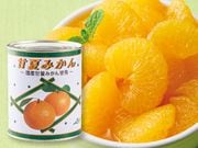 �� �ŲƤߤ����緿�̵�4�̥��å�