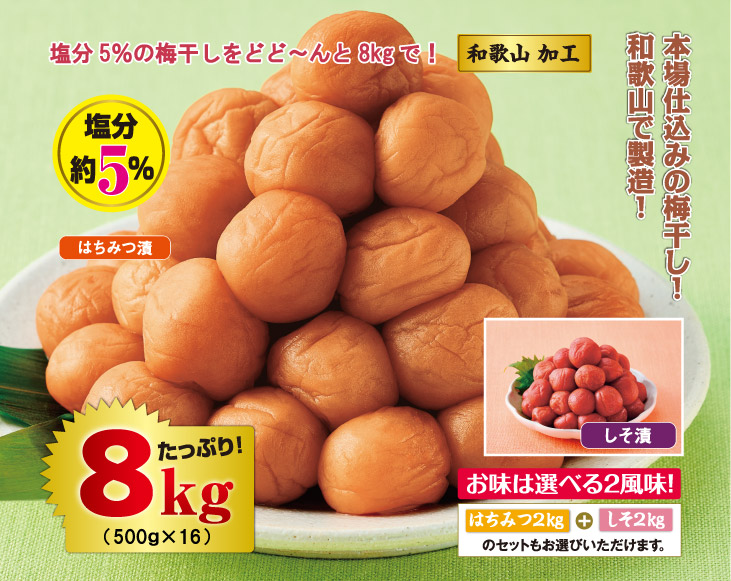 和歌山加工 塩分5％ 梅干し8kgセット | 南高梅 | 優生活