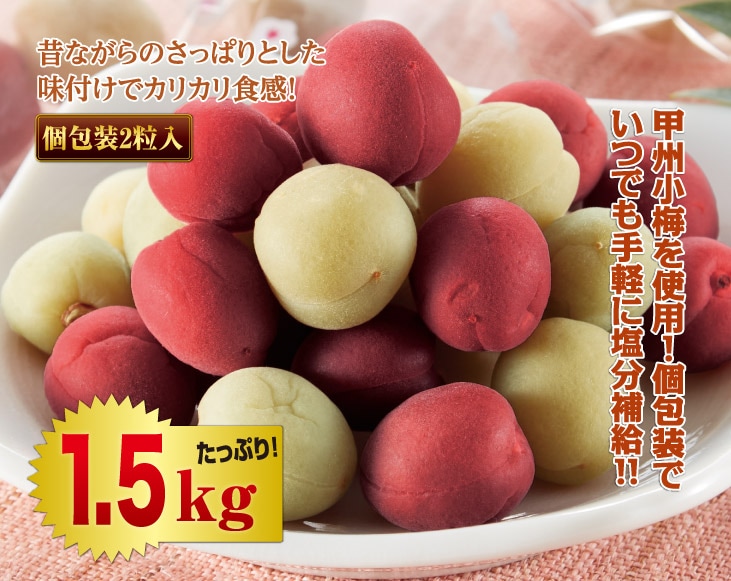カリカリ甲州小梅1.5kgセット | 梅干・漬物類 | 優生活