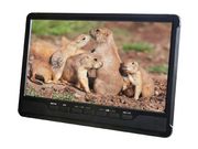 Ͽ�赡ǽ/�ϥǥ��ƥ�ӥ��塼�ʡ����10.1���վ���DVD�ץ졼�䡼