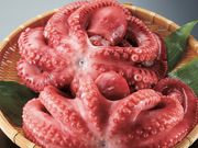 ���餫��Ǥ���1kg���å�(2���ޤ���3��)