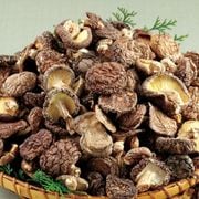 不揃い九州産 原木小粒どんこ椎茸 300g | その他加工食品 | 優生活