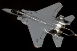 F-15E USAF, 1/100th