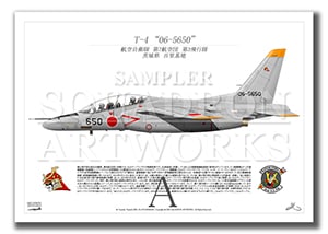 T-43⡡06-5650  A4 Prints)