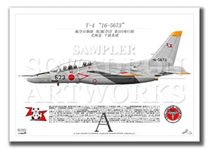 T-4203⡡16-5673  A3 Prints)