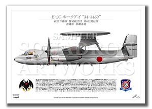 E-2C���ۡ�����������603�����⡡