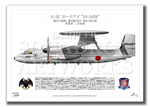 E-2C　ホークアイ　第601飛行隊　"34-3459"　（A2サイズ Profiles)