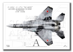 Top view  F-15DJ롡ԶƳ92-8070 A4 Prnts)