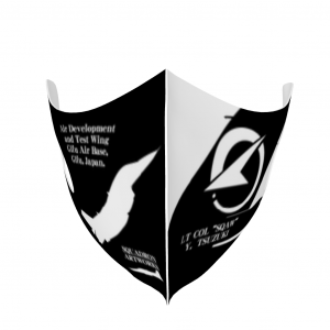 �ޥ�����F-2B�����Գ�ȯ�¸���