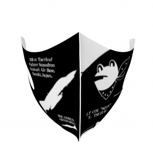 �ޥ�����F-4EJ������301������