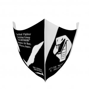 �ޥ�����F-15DJ�����Զ�Ƴ����AGGRESSORS