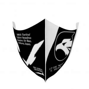 �ޥ�����F-15J����306������