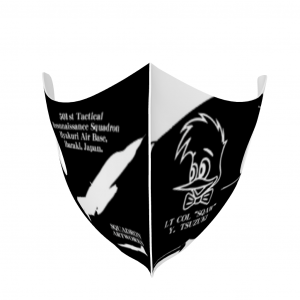 �ޥ�����RF-4E����501������