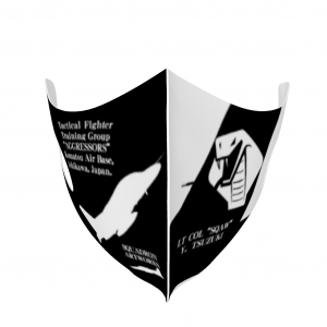 �ޥ�����T-4�����Զ�Ƴ����AGGRESSORS