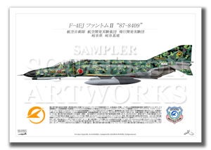 F-4EJ եȥ୶ 87-8409  ADTWǥ륫⡡A2 Profiles)