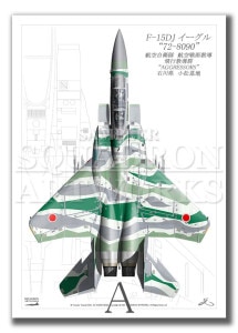 Top view ĸ F-15DJ롡ԶƳ72-8090ɡ A4 Prnts)