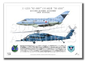 U-125A/UH-60Jĸ⡡2verA2 Prints)