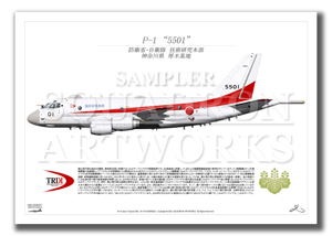 P-1　TRDI　/　航空集団　第51航空隊　"5501"　（A3サイズ Prints)