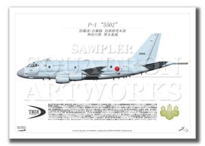 P-1　TRDI　/　航空集団　第51航空隊　"5502"　（A3サイズ Prints)