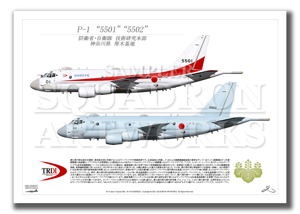 P-1　TRDI　/　航空集団　第51航空隊　2機ver　（A3サイズ Prints)