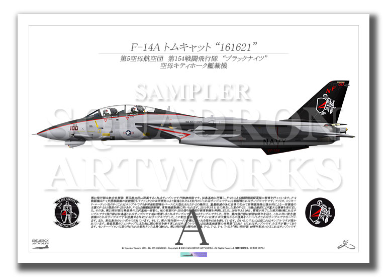 F-14A トムキャット VF-154 ブラックナイツ 2000 Showbird “161621” （A2サイズ Prints)