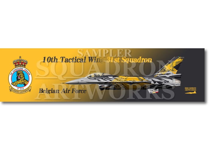 ★マグネット★彡　F-16A 31st "Tiger" Squadron 70th Years