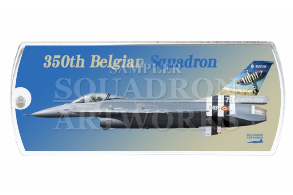 ドッグタグキーホルダー　F-16A 350th Squadron 75 YEARS D-DAY