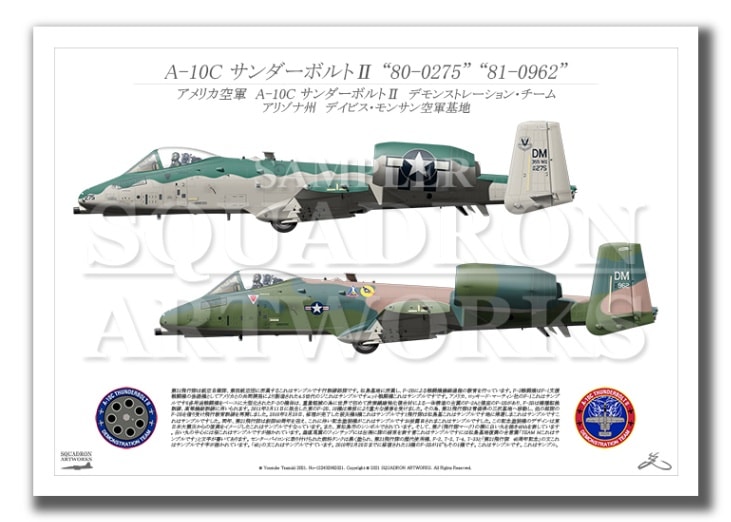 A-10C ThunderboltⅡ Demo Team 2機ver （A3サイズ Prints)