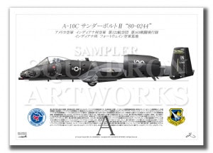 A-10C Thunderbolt�� 163FS Blacksnakes 