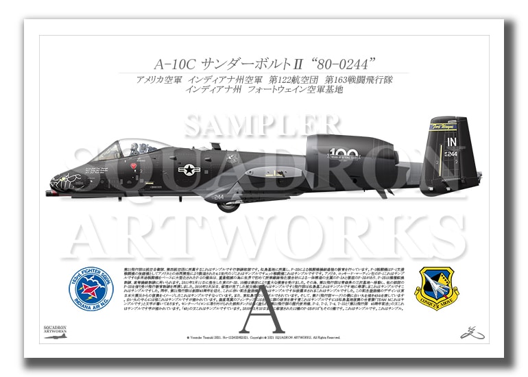 A-10C ThunderboltⅡ 163FS Blacksnakes "80-0244" （A2サイズ Prints)