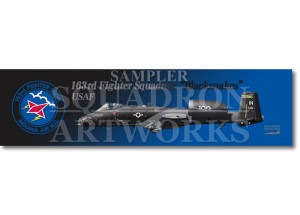 �ô�������ޥե顼������ A-10C Thunderbolt�� 163FS Blacksnakes 