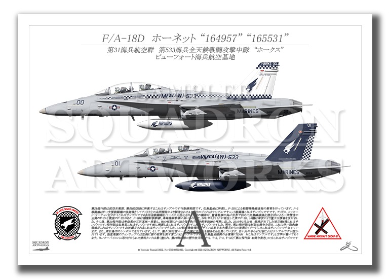 F/A-18D ホーネット VMFA(AW)-533 “Hawks” 2機ver　（A4サイズ Prints)