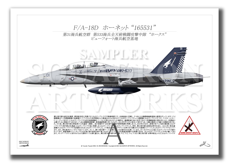 F/A-18D ホーネット VMFA(AW)-533 “Hawks” 165531　（A3サイズ Prints)