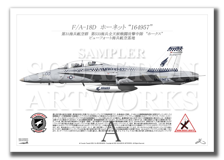 F/A-18D ホーネット VMFA(AW)-533 “Hawks” 164957　（A3サイズ Prints)