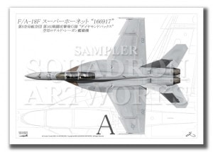 Top view 褳 F/A-18F ѡۡͥå VFA-102  Diamondbacks 102  166917  A2 Prints)