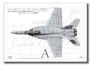 Top view 褳 F/A-18F ѡۡͥå VFA-102  Diamondbacks 102  166917  A3 Prints)