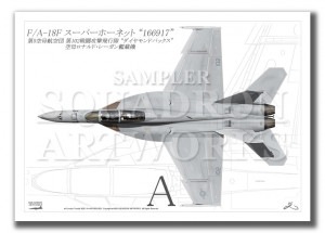 ��Top view �褳������ F/A-18F �����ѡ��ۡ��ͥå� VFA-102  Diamondbacks ��102  ��166917��  ��A4������ Prints)