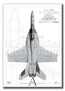 Top view ĸ F/A-18F ѡۡͥå VFA-102  Diamondbacks 102  166917  A2 Prints)