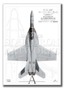 Top view ĸ F/A-18F ѡۡͥå VFA-102  Diamondbacks 102  166917  A3 Prints)