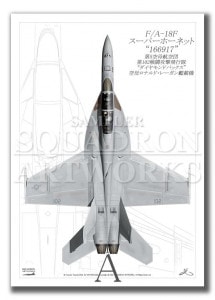 ��Top view �ĸ����� F/A-18F �����ѡ��ۡ��ͥå� VFA-102  Diamondbacks ��102  ��166917��  ��A4������ Prints)